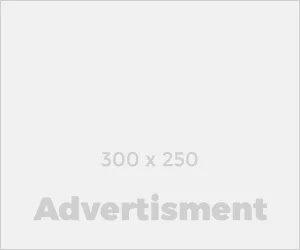 - Advertisement -