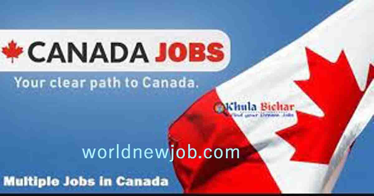 7 Best Entry Level Jobs Toronto Canada I Free Visa